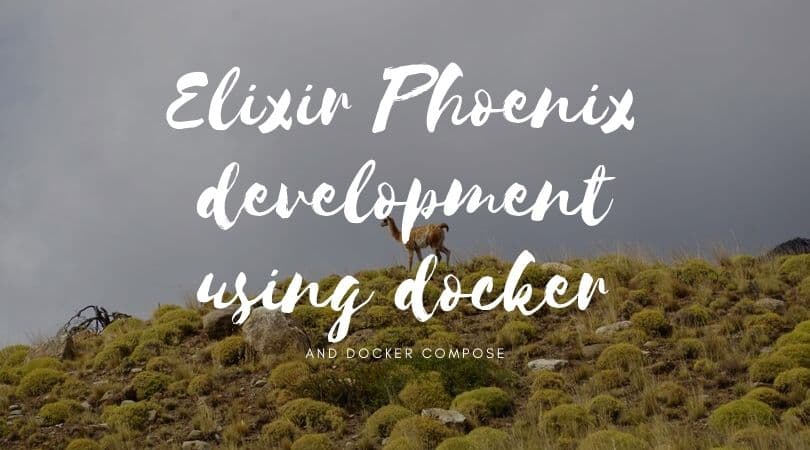Elixir Phoenix development using Docker and Docker-Compose